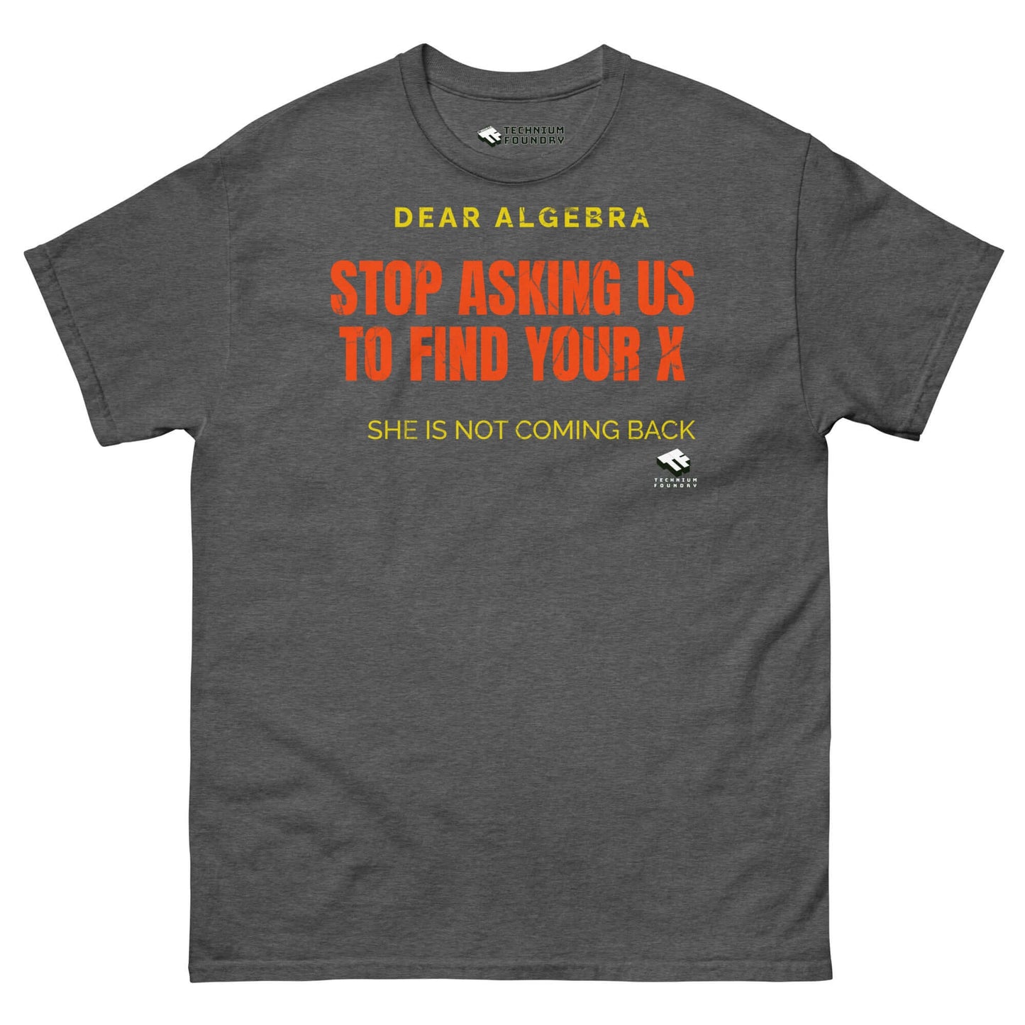 "Dear Algebra T-Shirt with humorous X joke by Technium Foundry, gray shirt with bold text design"